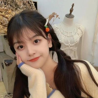 《续韩国泪的小花》封面